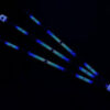 ATYPE Flowerstick-Fantasy UV - Image 2